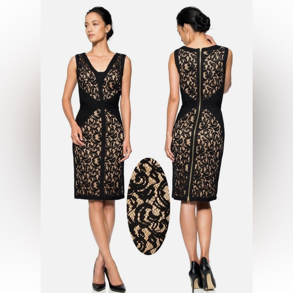 Tadashi Shoji Elegant Black Lace Dress